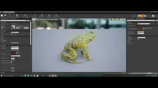 Medhue Frog in Unreal Engine