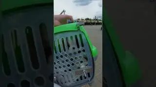 Девочка - Кавалерочка поехала к своей семье в СПб из Липецка на поезде 😍 🚂 Официальная ЖД доставка