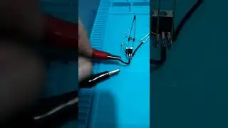 Ters Voltaj Koruması