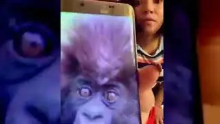 VIDEO YANG LAGI VIRAL DI MEDIA SOSIAL TERBARU 2021 SANGE