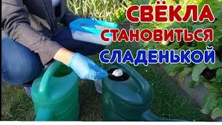 Полейте этим свёклу и вы удивитесь, что произойдёт 