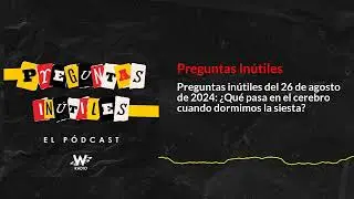 Preguntas inútiles del 26 de agosto de 2024: ¿Qué pasa en el cerebro cuando dormimos la siesta?