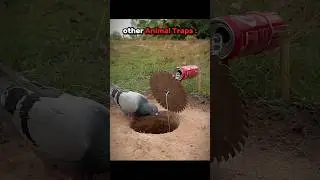 other animal traps vs this one