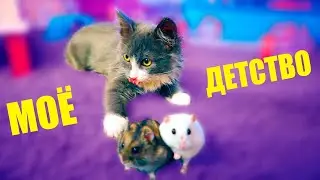 КОГДА Я БЫЛА КОТЕНКОМ ЧУТЬ НЕ СЪЕЛА ХОМЯКОВ! МОЁ ДЕТСТВО ГЛАЗАМИ КОШКИ АЛИСЫ ЧАСТЬ 2