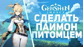Genshin Impact - Как сделать Паймон питомцем! Баг геншин импакт!