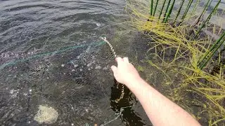 Рыбалка на верши(ятерь, кубарь, морду)!!! Улов есть! Наконец-то пришло тепло!
