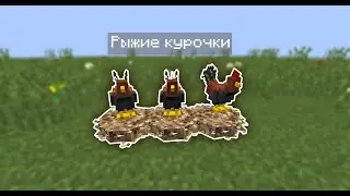 АВТОМАТИЧЕСКАЯ ФЕРМА РЫЖИХ КУРИЦ В МАЙНКРАФТ! ЖИЗНЬ ФЕРМЕРА #9