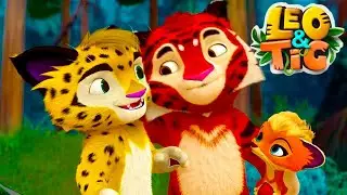 Leo and Tig 🦁 All episodes in row 🐯 Funny Family Good Animated Cartoon for Kids 🔴 LIVE