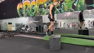 Alternating dumbbell step ups