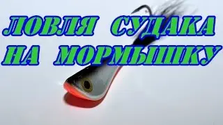 Ловля судака на мормышку