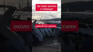 Где живут русские в Тайланде? #shorts