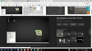 curso de Linux básico 1 para principiantes tipos de distribución y kernel