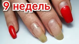 Two Months No Correction / Manicure / Autumn Nail Design