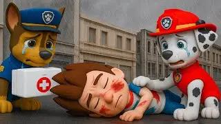 Siêu nhân nhện ►Please Wake Up All My Friends! - Don't Leave Me - Sad Story |Paw Patrol 3D Animation