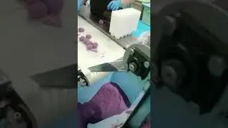 Automatic ball protein ball turntable wrapping machine