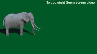 Elephant/Hathi/Hati Green Screen Video/Effect/VFX♏