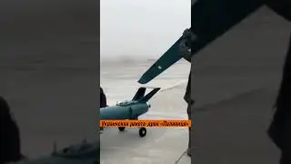 Украинская ракета-дрон «Паляниця»