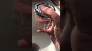 Egg Shampoo Homemade dispenser