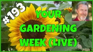 Simplify Vegetable Gardening (Q&A)