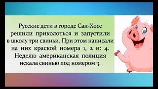 МОЗГ: Сделай резкое движение и испугай КОТА. Я: Зачем? МОЗГ: Ну надо. Юмор на каждый день.