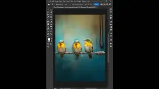 Adobe Photoshop 2024 Tips - How to use Pacth tool #ducthangds #photoshoptoturial