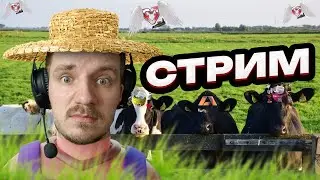 ПЯТНИЧНАЯ КРИПТА ИЛИ НА ЗАВОД?👴