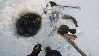 Проверка ПОПЕРЕЧНИКА на Енисее. НАЛИМ СТАЛ ХИТРЕЕ. 
