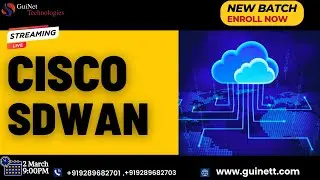 Cisco SDWAN Live Class