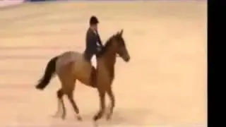 Лошади прыгают  Конкур 2,12 м
