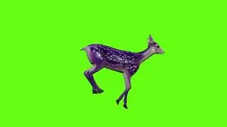 Green Screen Doe Animation | Deer Green Screen Video