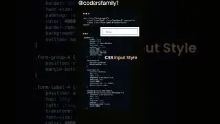 css input style 