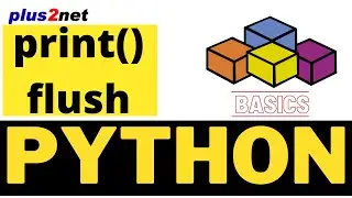 Python print output with flush option to clear the buffer with example using timer