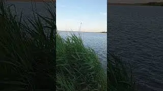 рыбачем в испании 