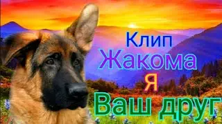 Клип|Жакома|Я ваш друг