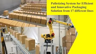 Palletizing System for Efficient and Innovative Packaging Solution from 17 different lines