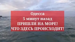 Одесса 5 минут назад. ПРИШЛИ НА ЧЁРНОЕ МОРЕ! ЧТО ЗДЕСЬ ПРОИСХОДИТ!