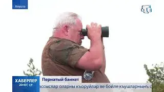 В Крыму устроили банкет для хищных птиц