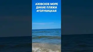 Пт, 23 авг. 2024 #Голубицкая. Дикие пляжи, Азовское море.
