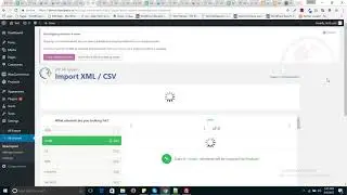Update Products using wp all import product