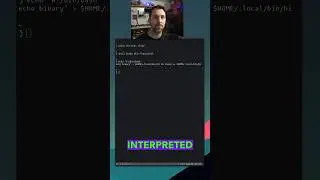 Difference between an alias, function, and script