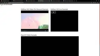Python Live Video Streaming