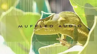 Muffled Audio Effect | FCPX