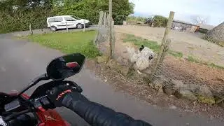 [GoPro] Vuelta por La Arboleda