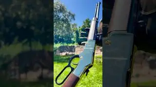 Henry Golden Boy .22 lever