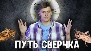 Кормовые насекомые - как это сделано? Сверчковая ферма, консервированные тараканы, компания ONTO.