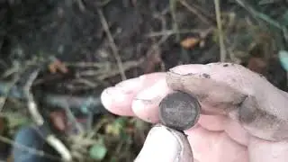 коп по войне курская дуга 4.11.2017