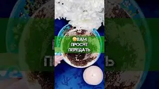 🤩Что Вселенная готовит для тебя? ☕ Гадание на кофе – важное послание!