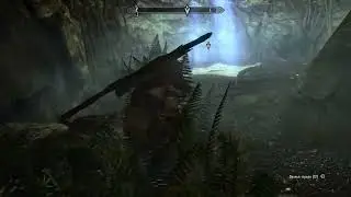 The Elder Scrolls V: Skyrim.Чёрный Шторм просит найти одну вещь. это Измельчённая соль пустоты.