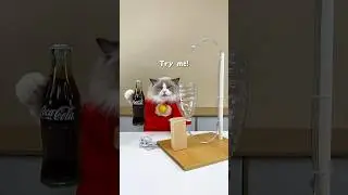 🔄 Puff's Coke perpetual motion machine! Real or just bubbly magic? 🥤 