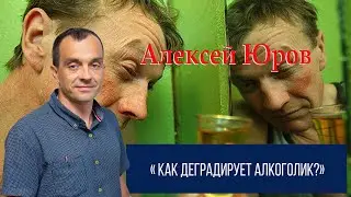Как деградирует алкоголик ?